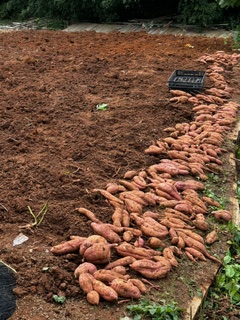 �����ق�